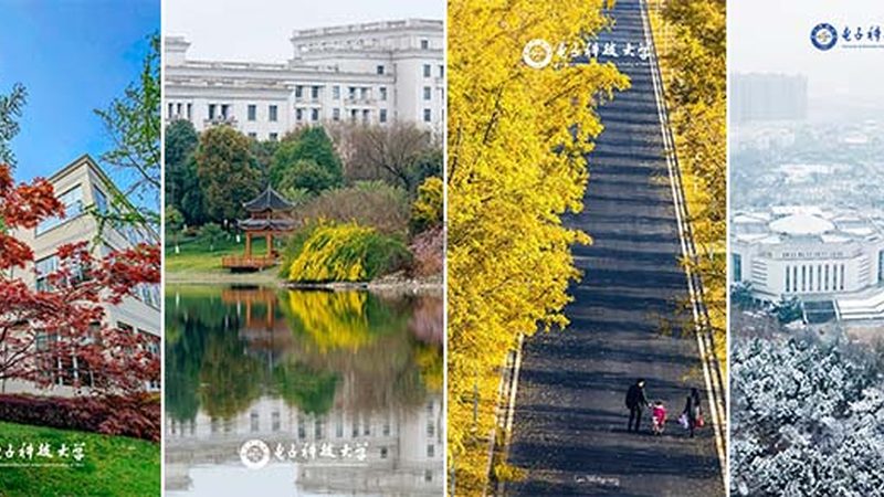 电子元器件代理加盟，你需要了解的五大关键点**