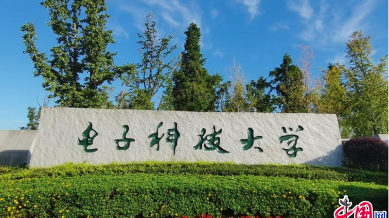 深圳插件来料加工：揭秘其价格构成与选择要点