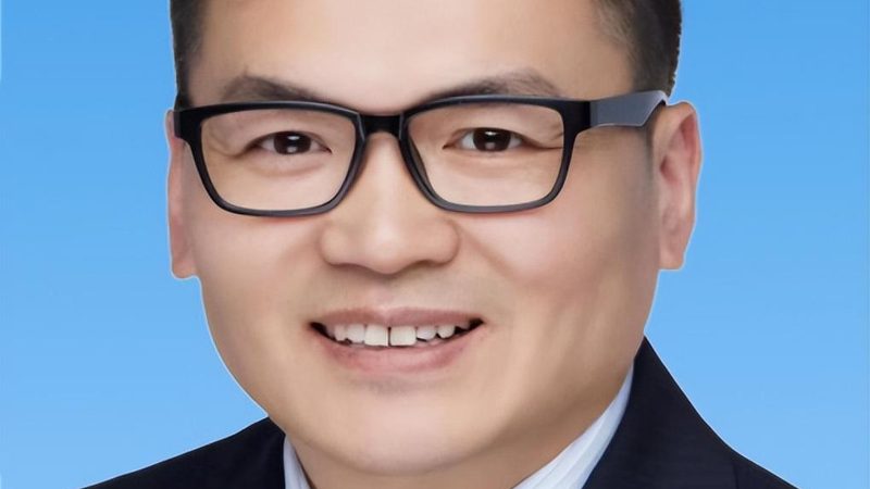 汽车继电器：批发价格背后的技术考量